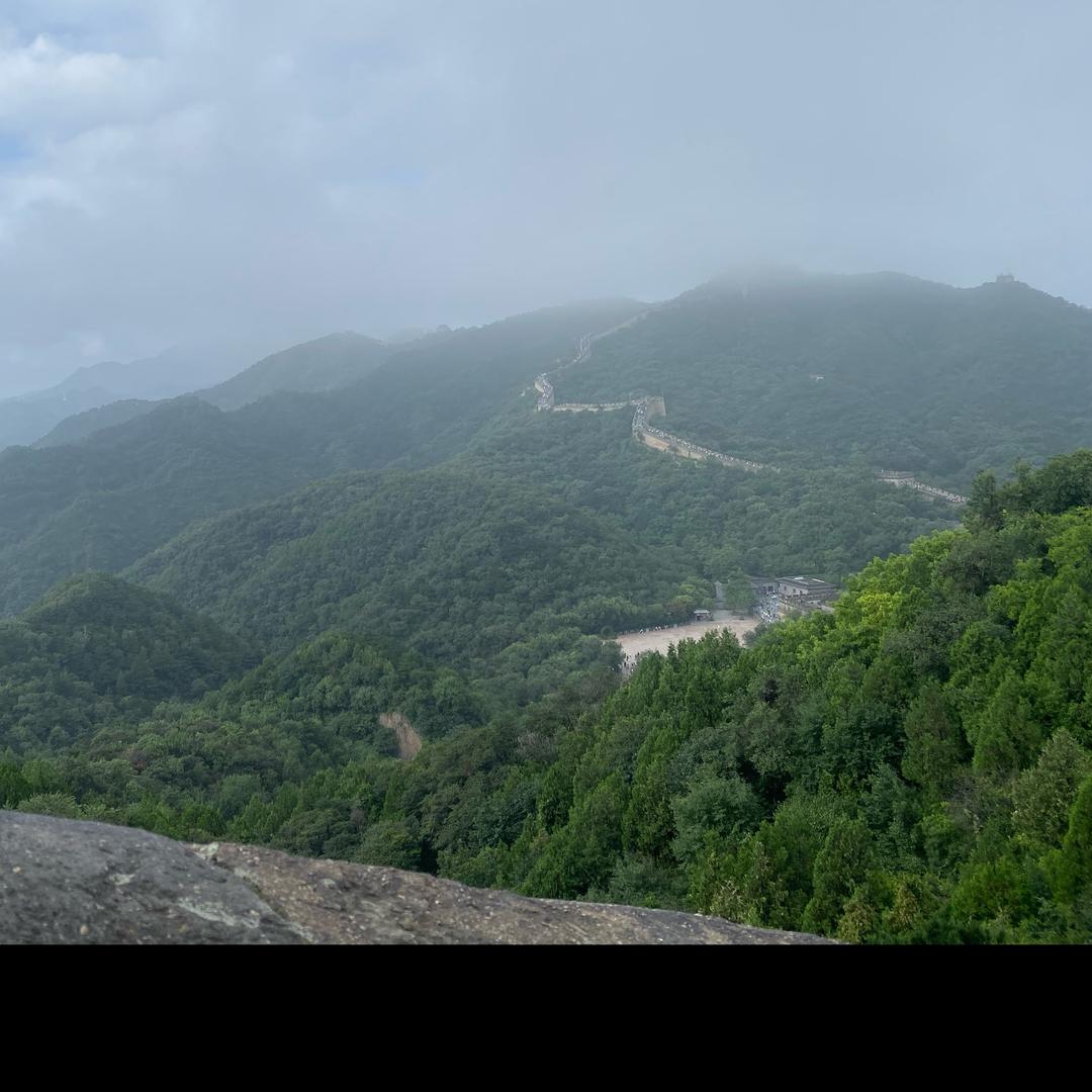 每天发现不一样