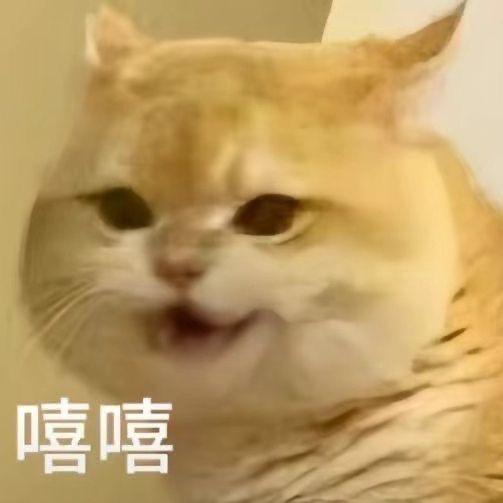 爆炸影视