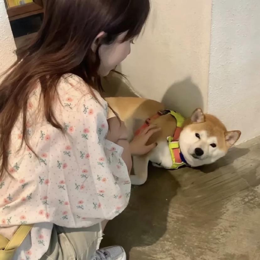 A猜猜我是谁