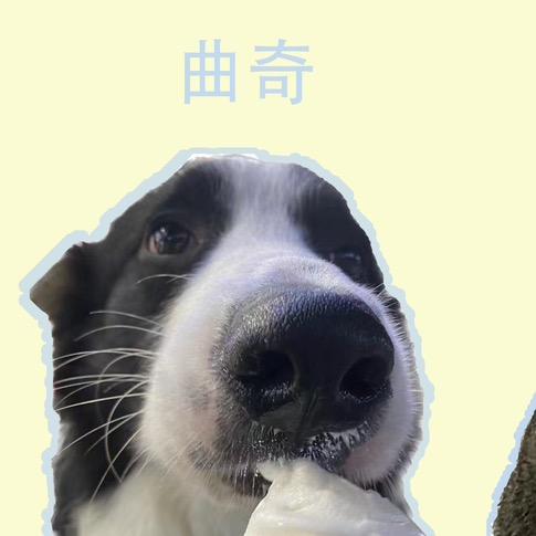 哈哈会哈