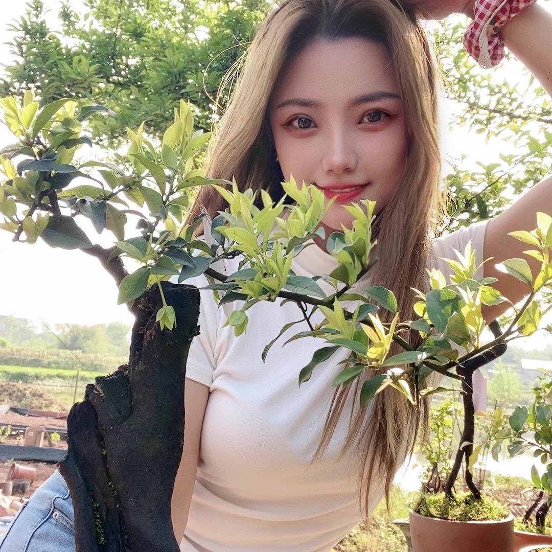 花花金弹子