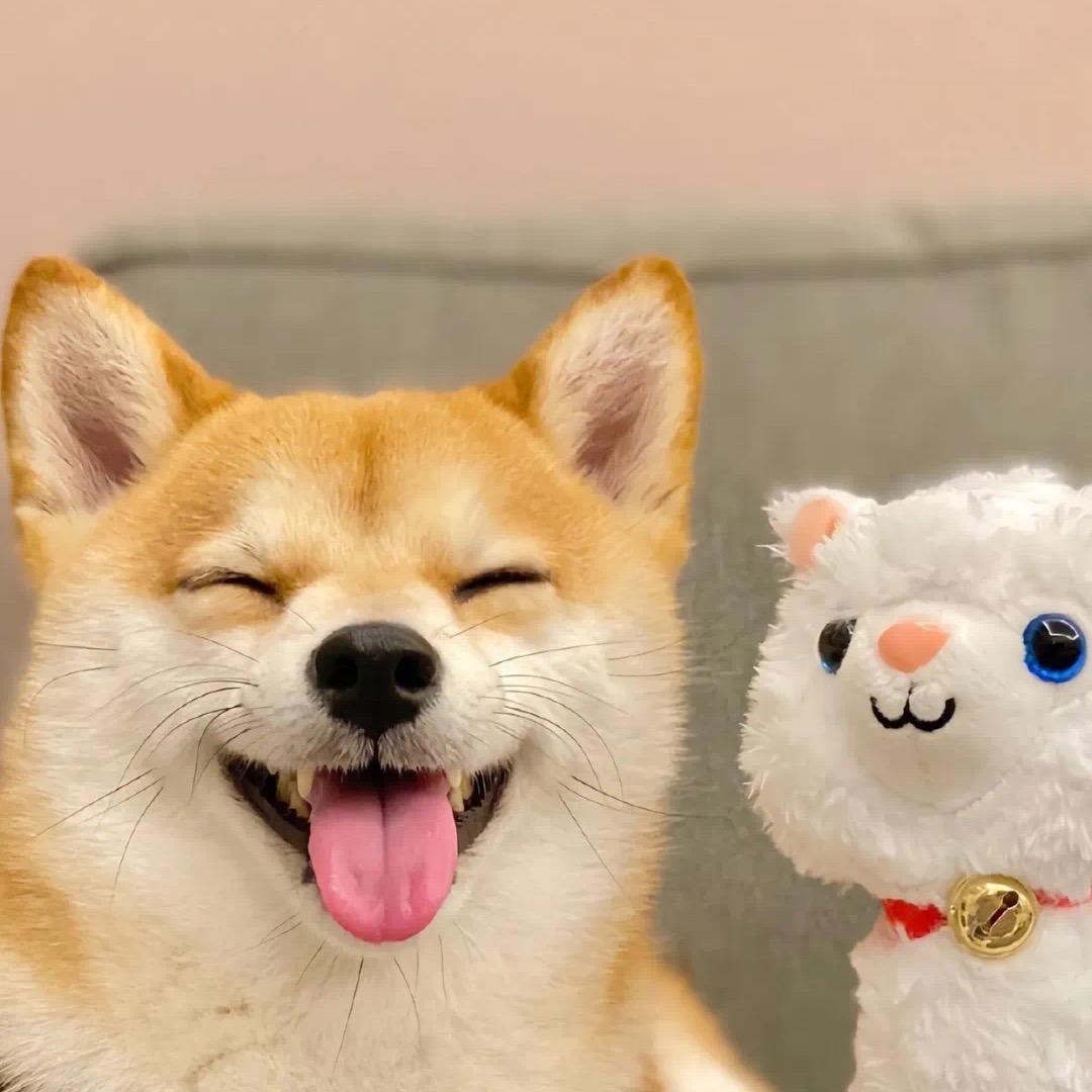 晚睡不困