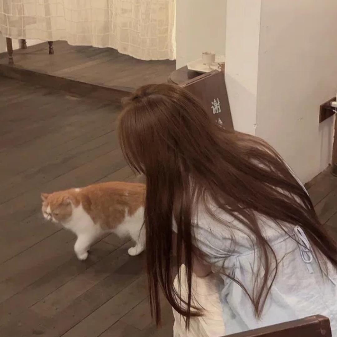 糊秃秃