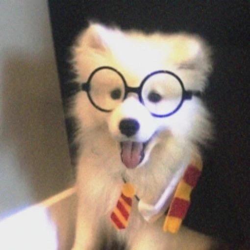 知恩和仁娜.