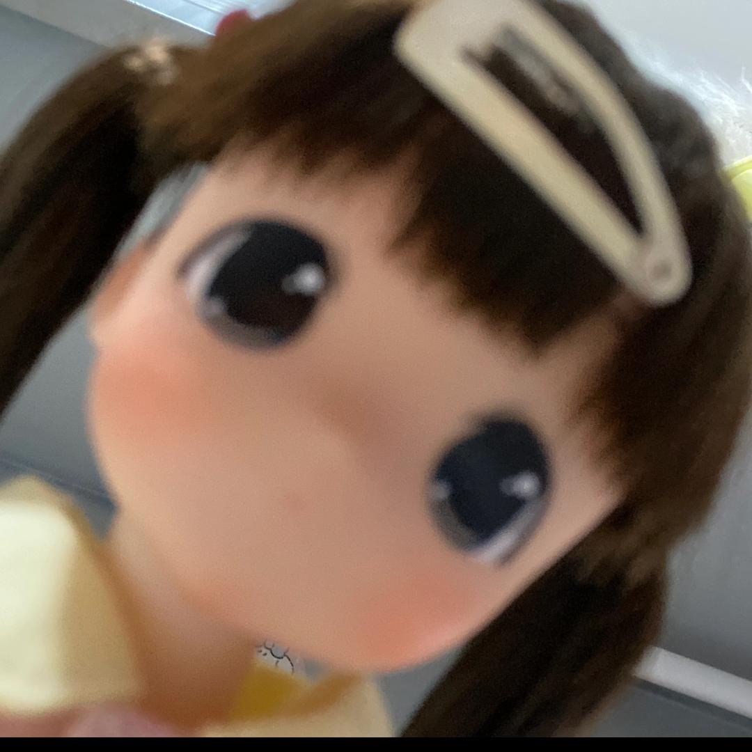 全世界最爱小猫