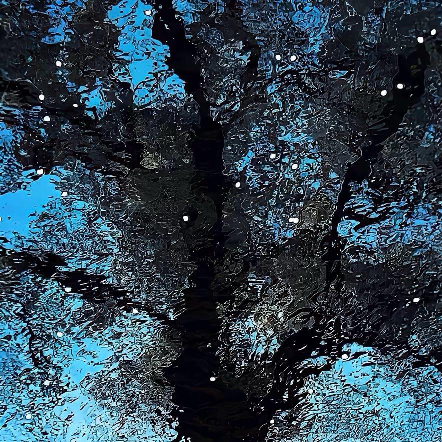 大秀，首播筹备中