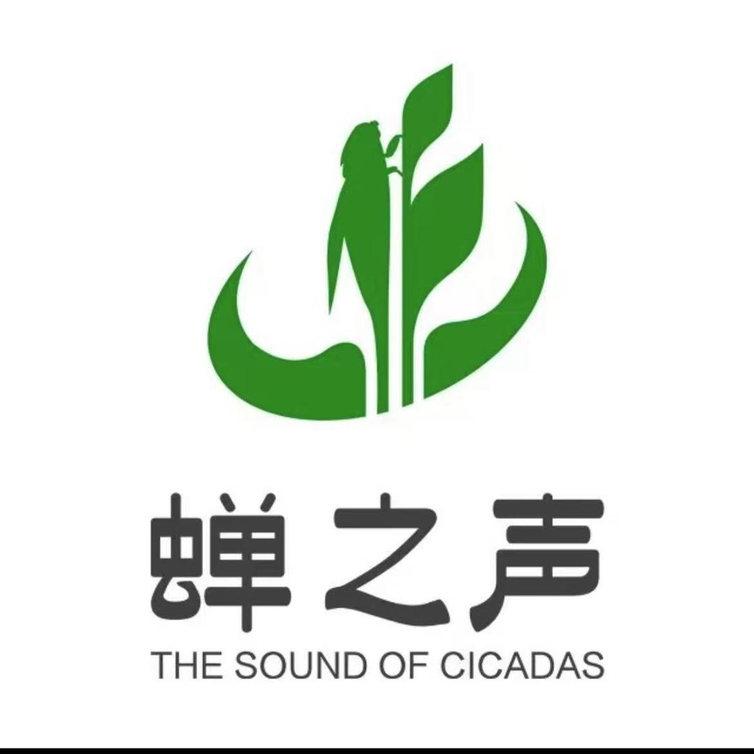 蝉之声茶叶