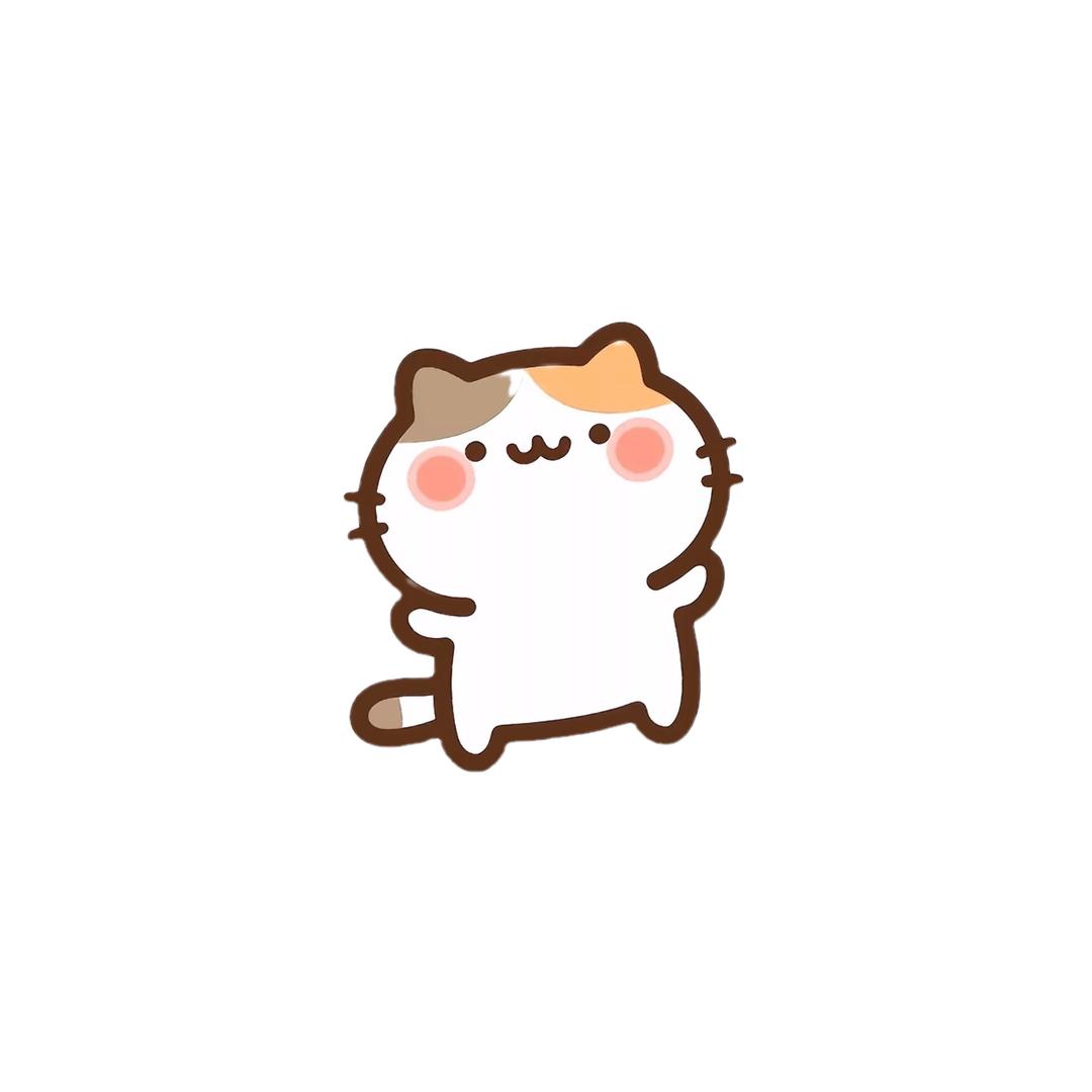 一只傻傻猫