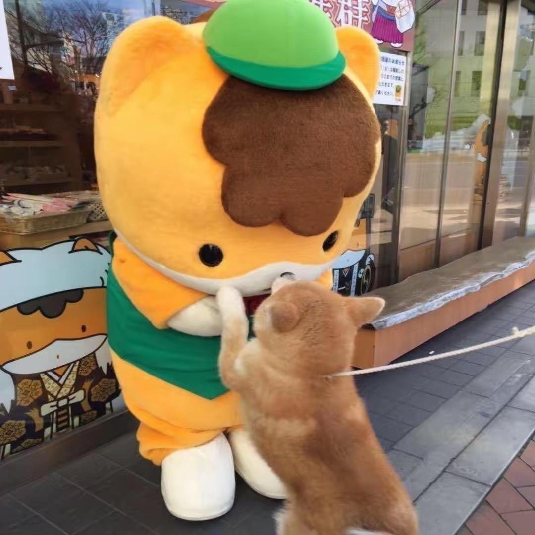 小可爱