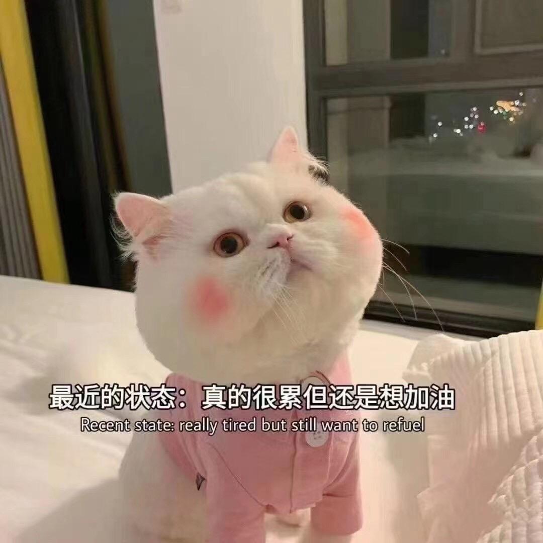 逝去的爱