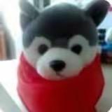 宋青楼