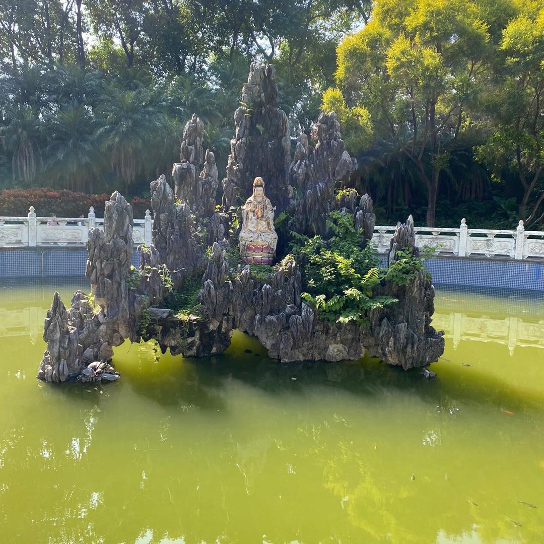 苏中自由颜如玉