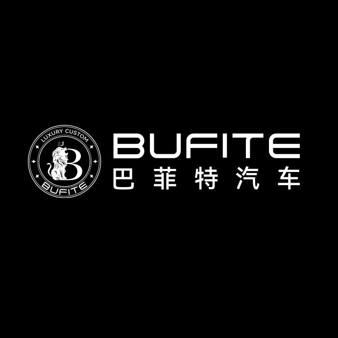 巴菲特商务车-山东