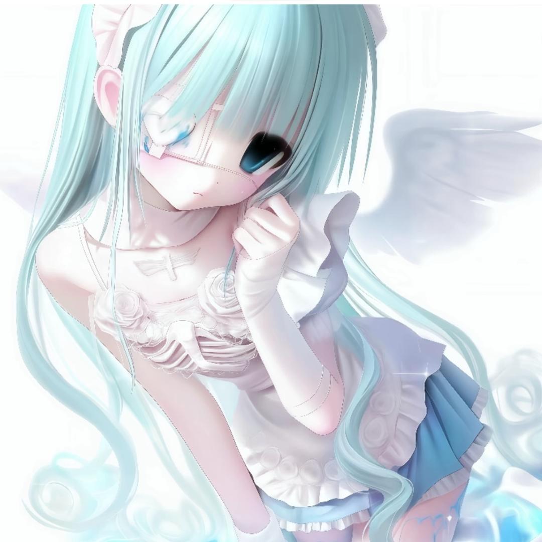 菜菜菜
