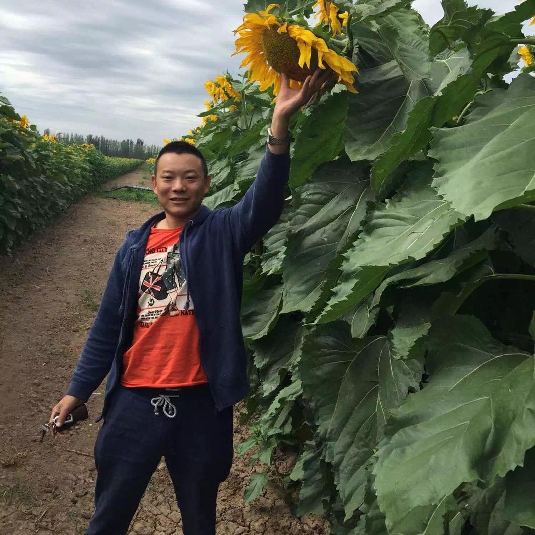 @青岛盛满多闫老三瓜子板栗🌰