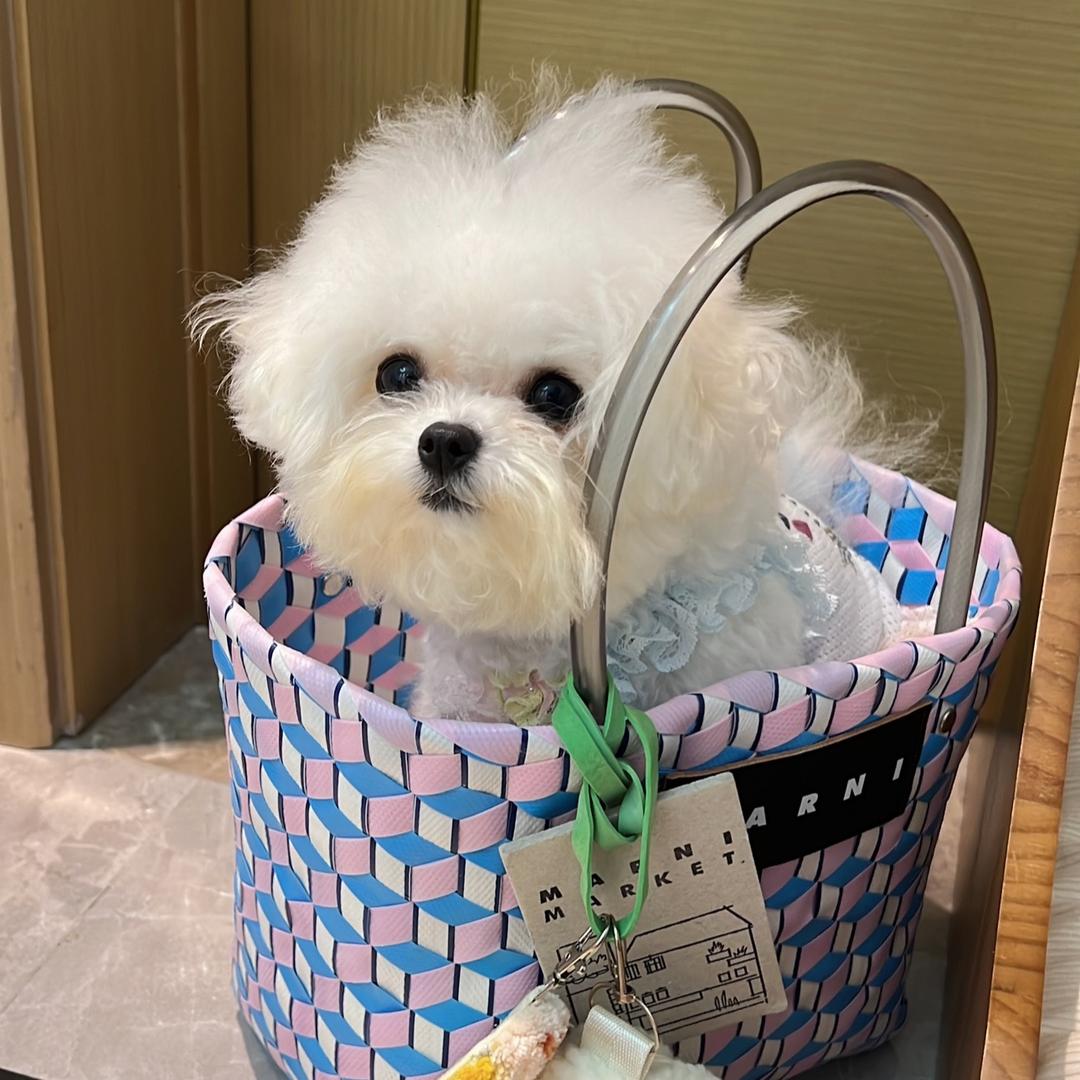 小小小馒头🐻‍❄️