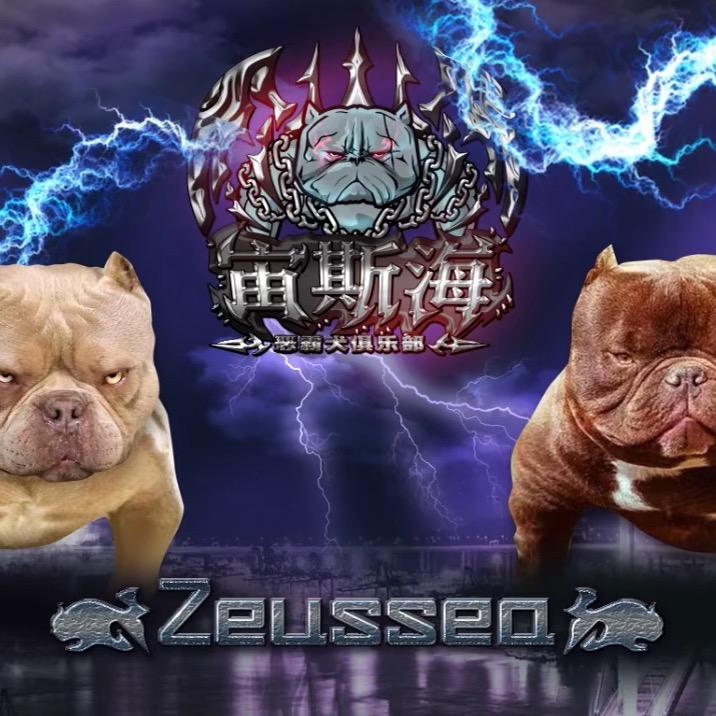 宙斯海恶霸犬俱乐部