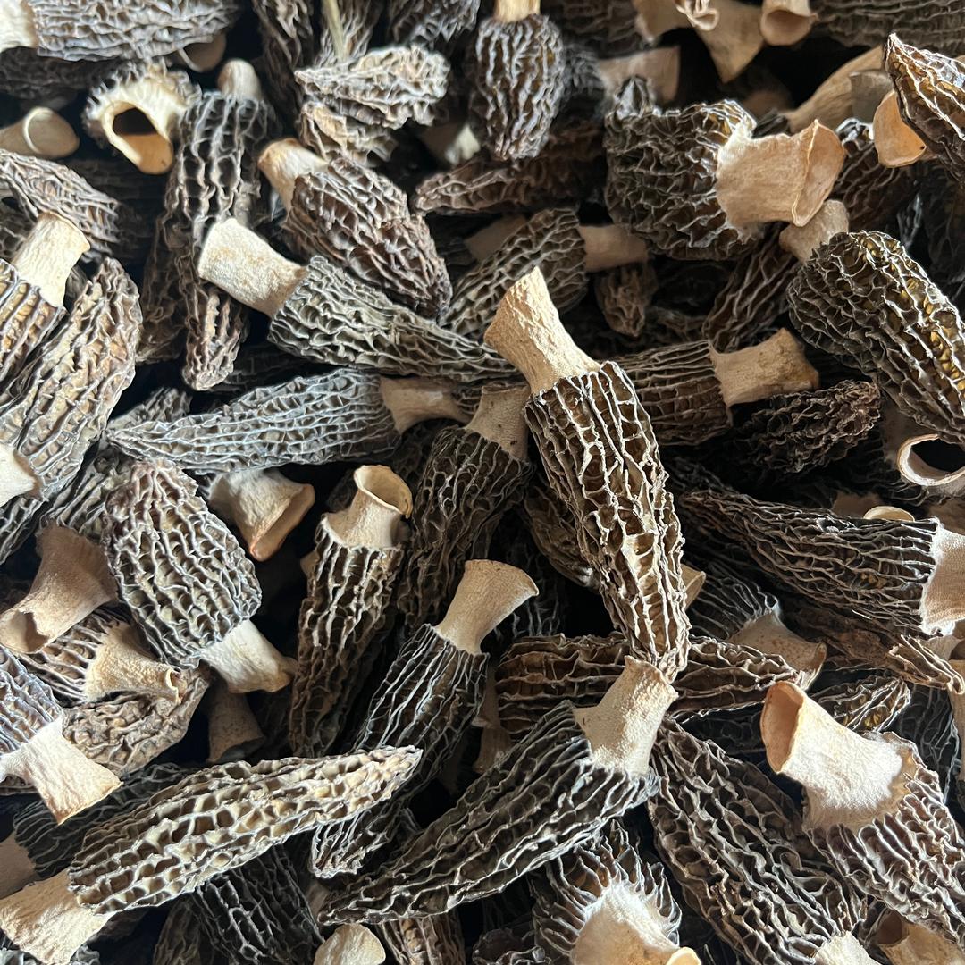 青白江鸿途涵澄羊肚菌