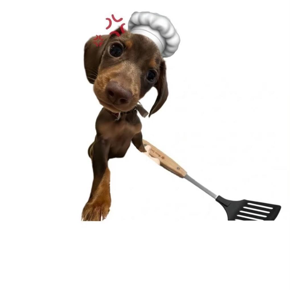 猫猫狗狗小厨房