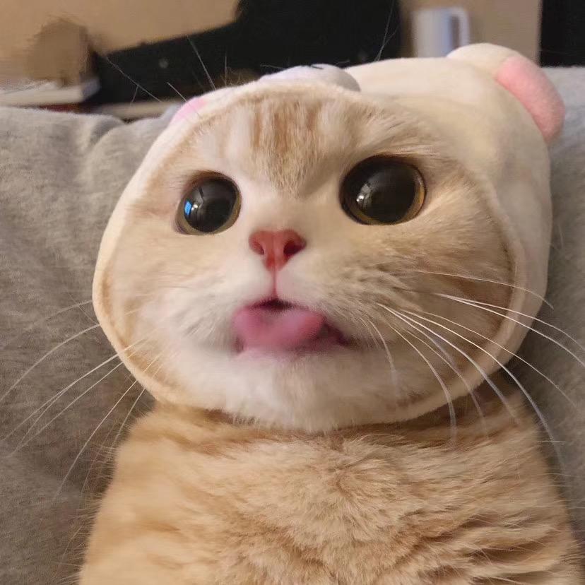 胡富贵姓福