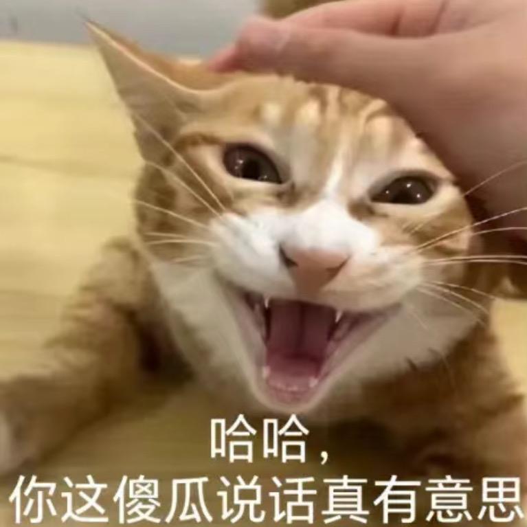 4070猫显卡堂堂复活(六只猫版)