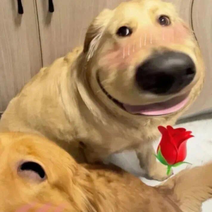 ⁷扎个辫辫⁸