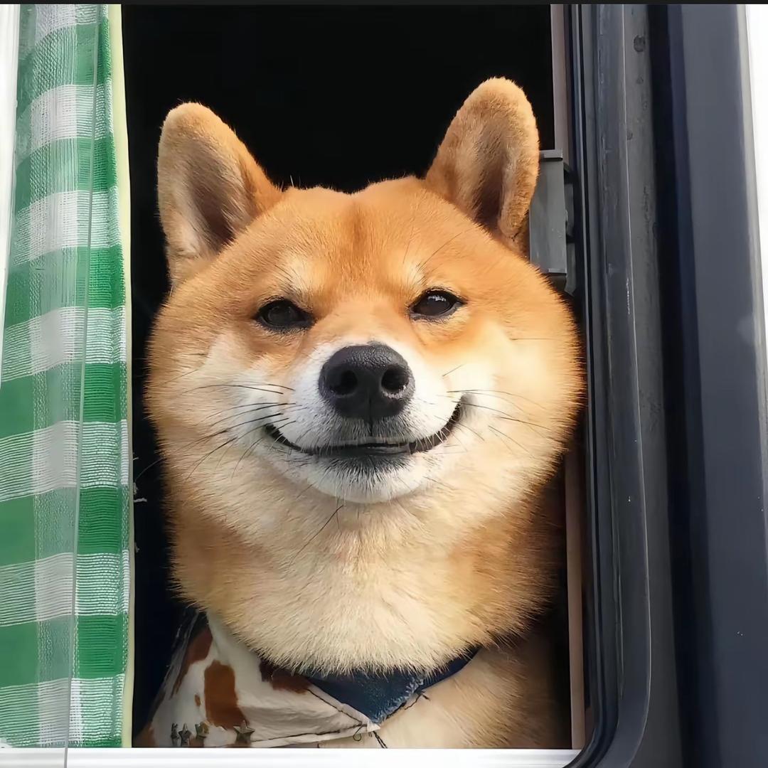 好理想