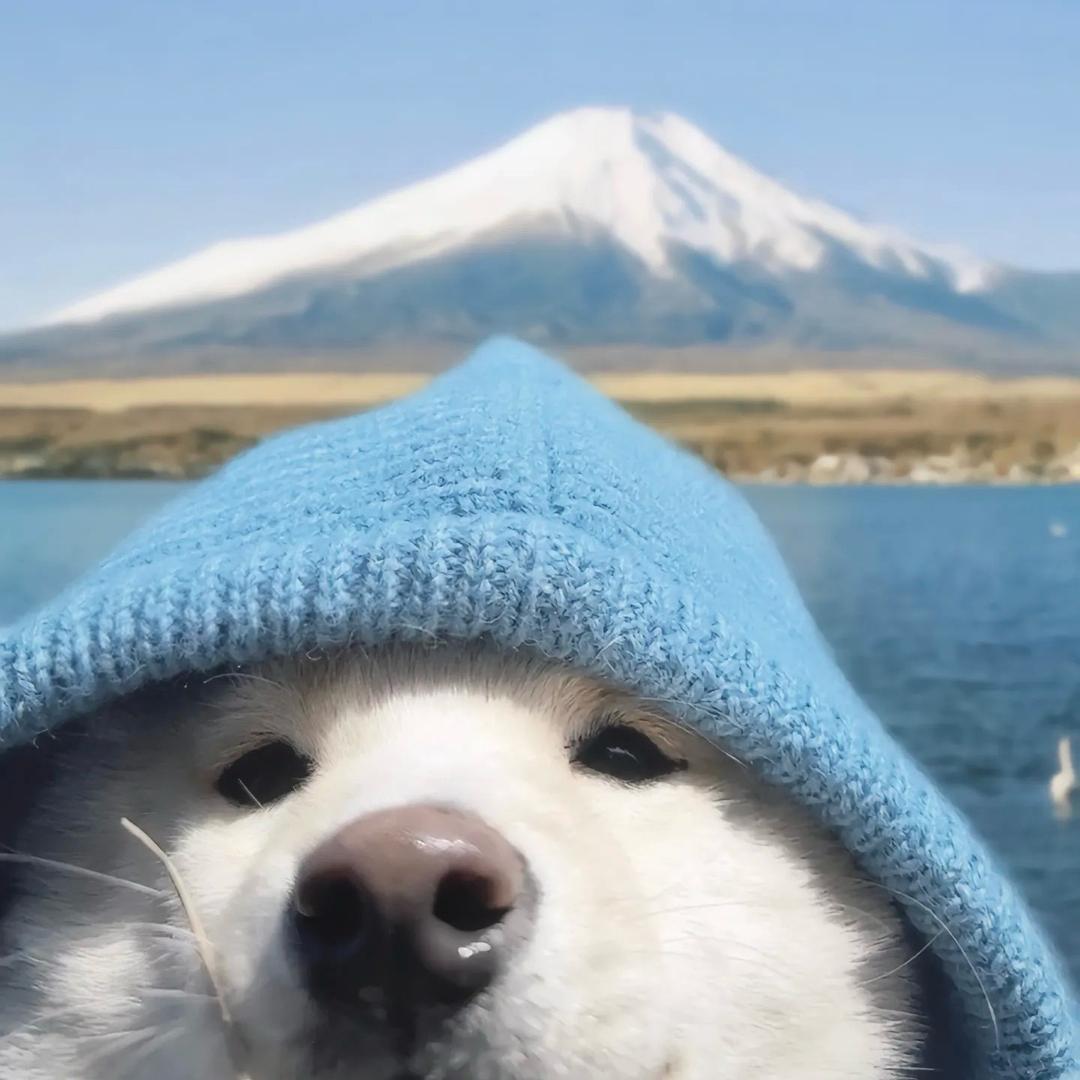 call住再想办法