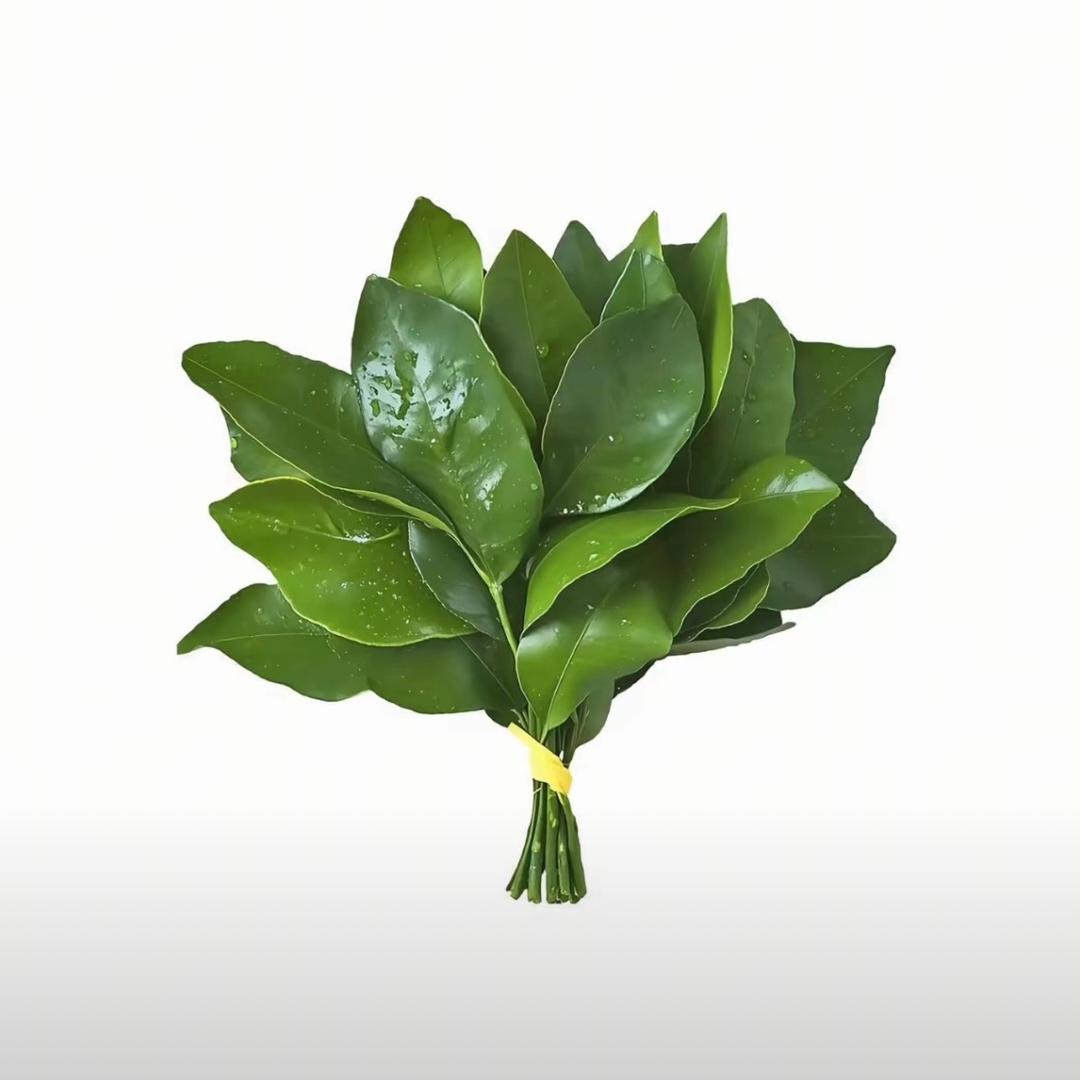 建业天誉&天境-谭桂茹