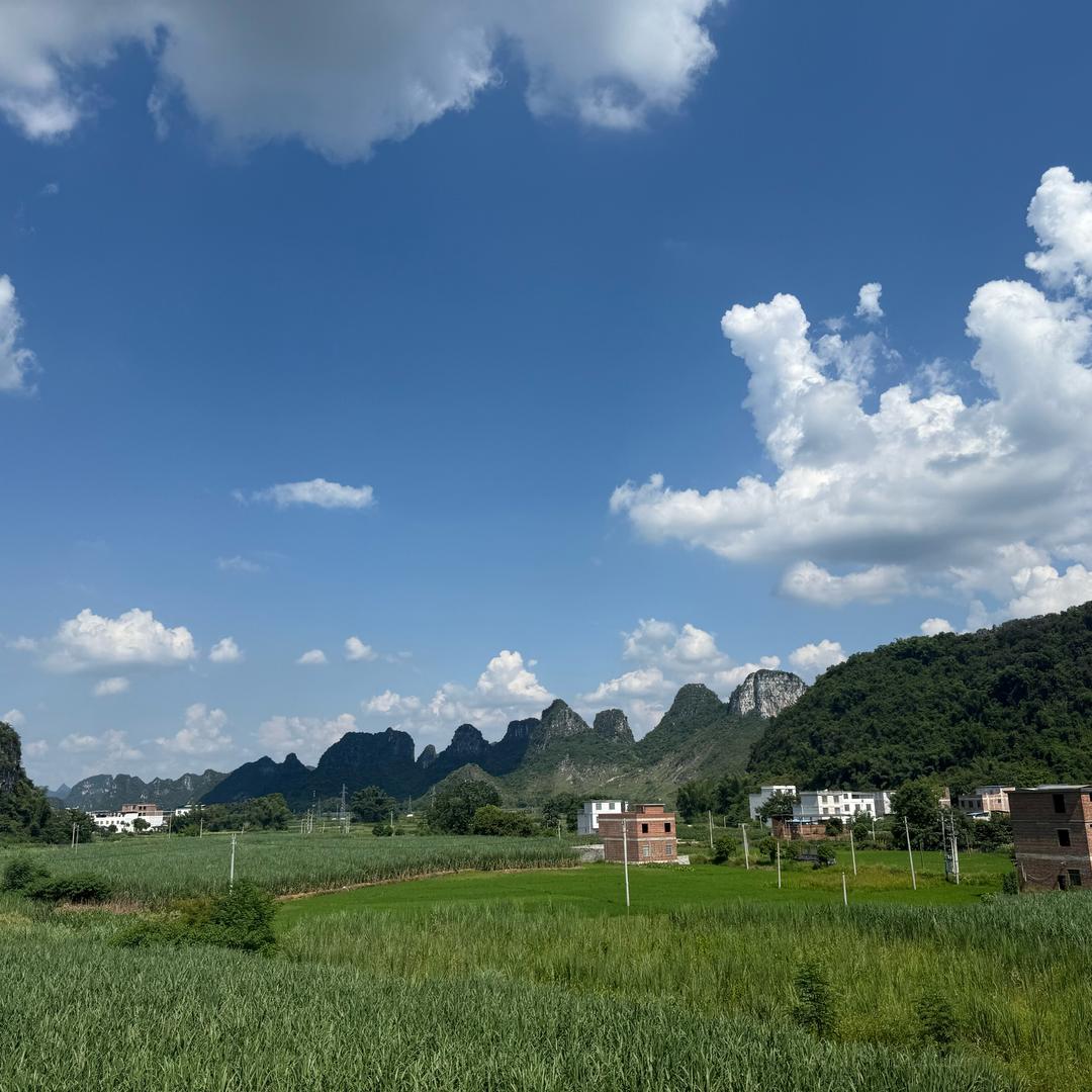 冬欧夕（可内推）