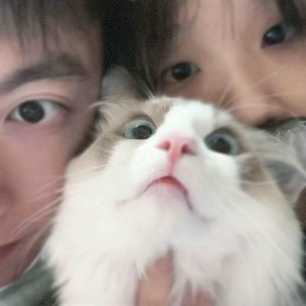 我超甜呐🌸