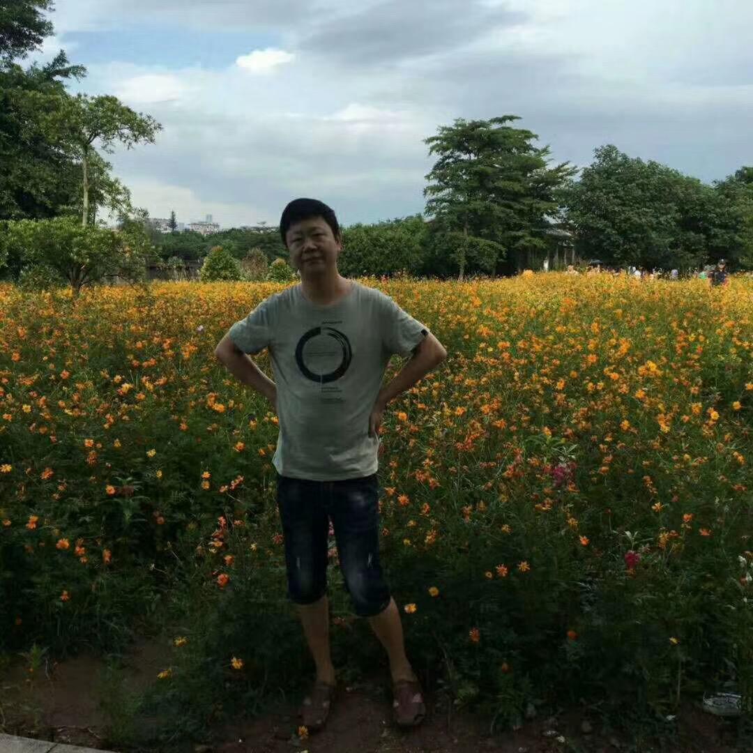 王成