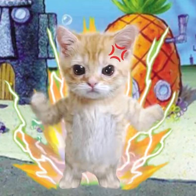 牡丹不该来玫瑰湖做瑜伽