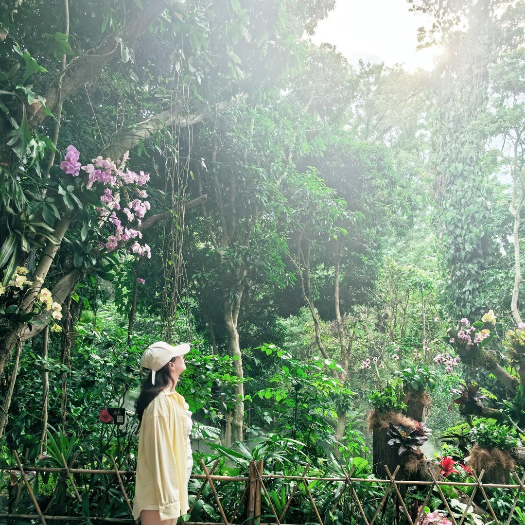 -冰美式