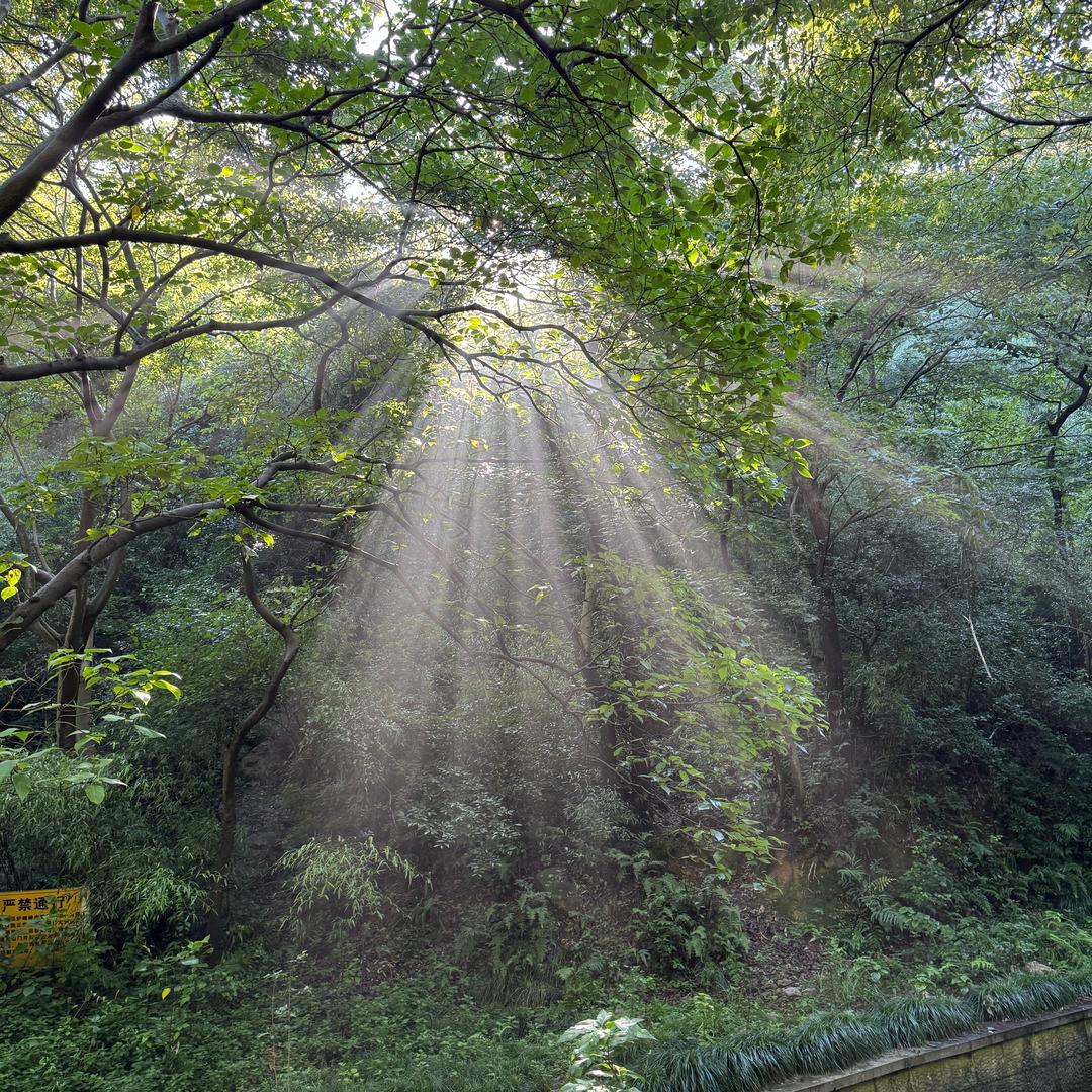 远山