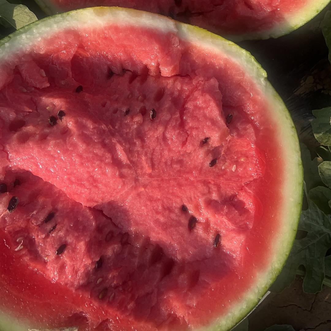 王子阳全国西瓜水果蔬菜代发