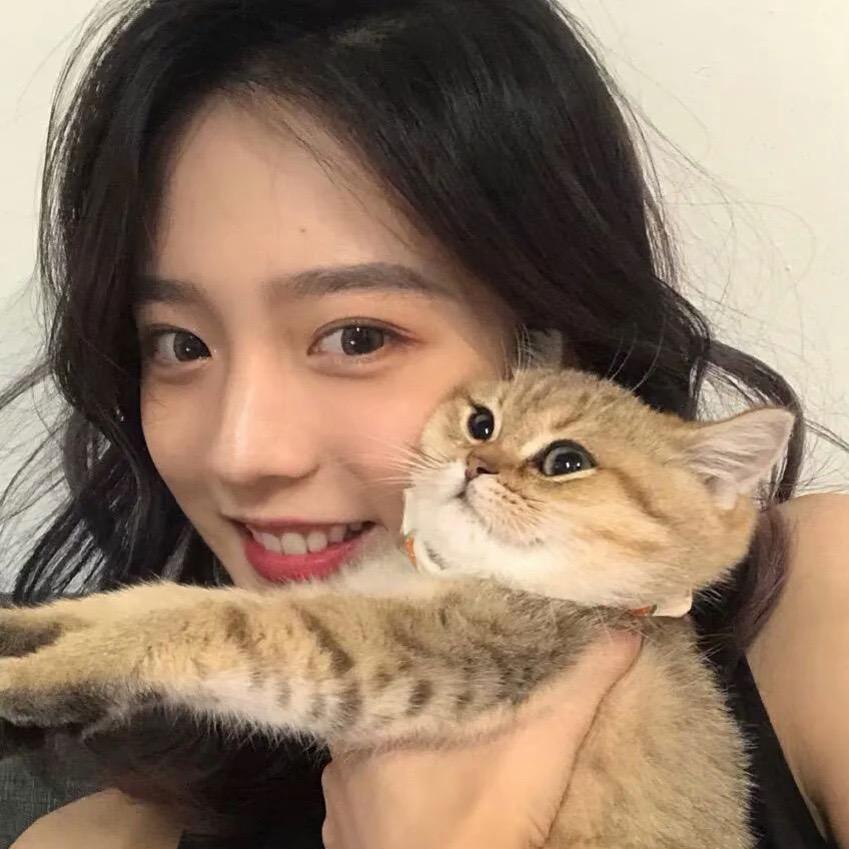 养只猫吧.