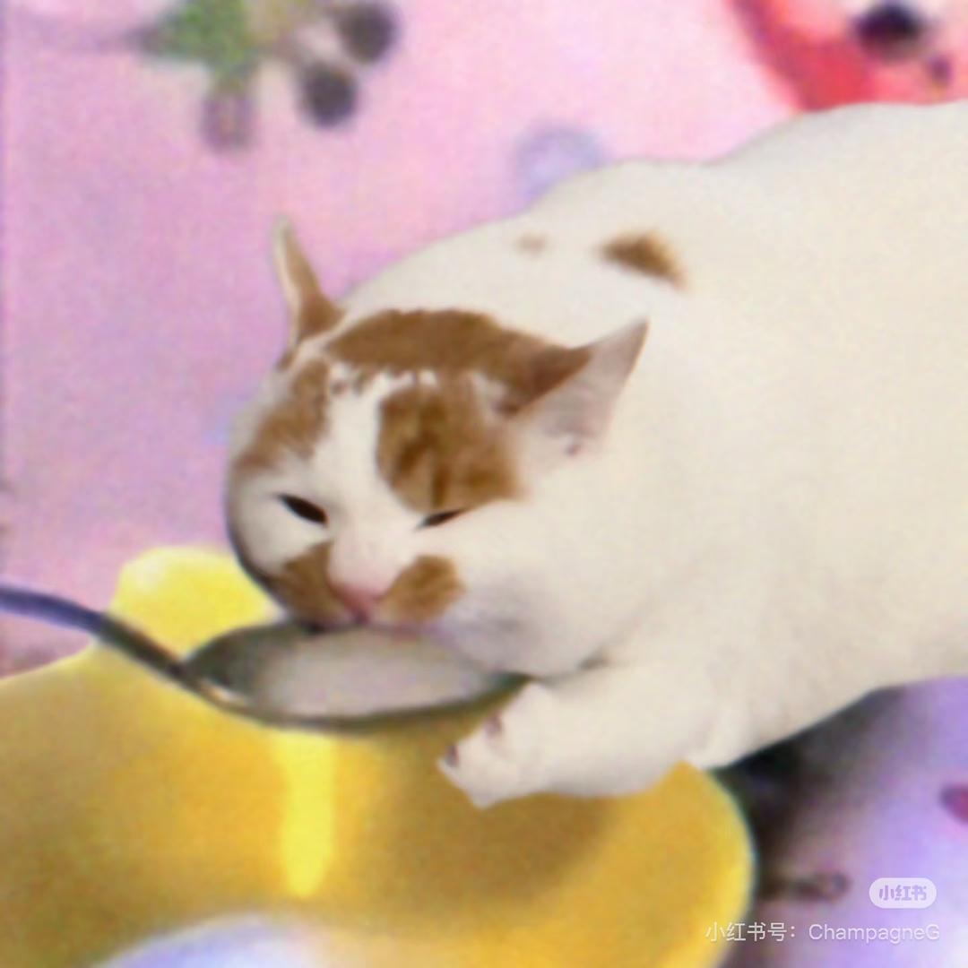 漾