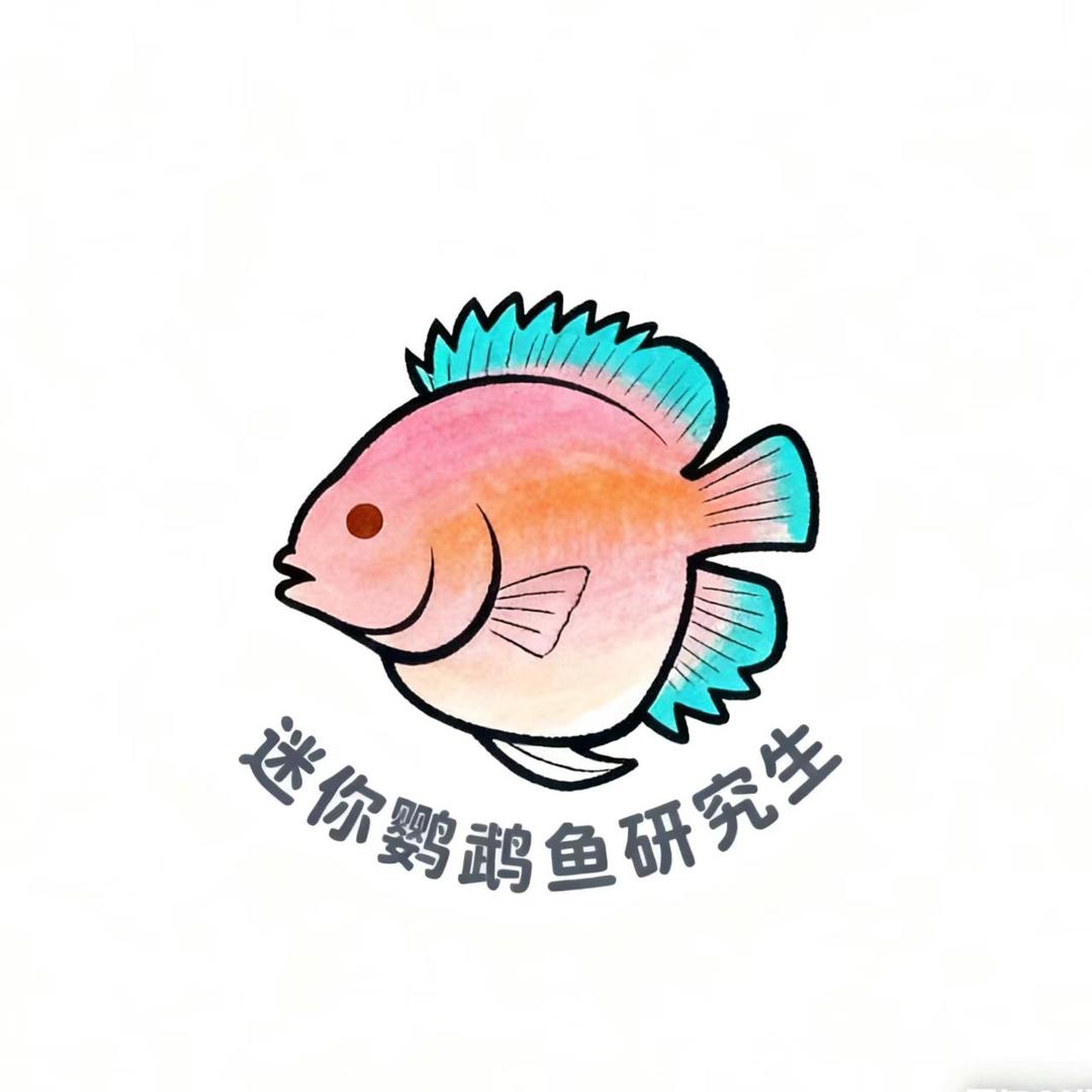 迷你鹦鹉研究生