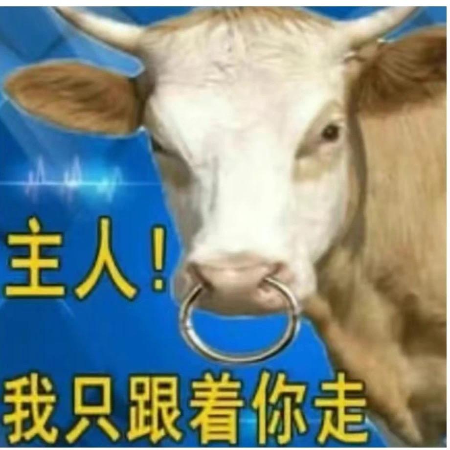 王中王(享受生活版)