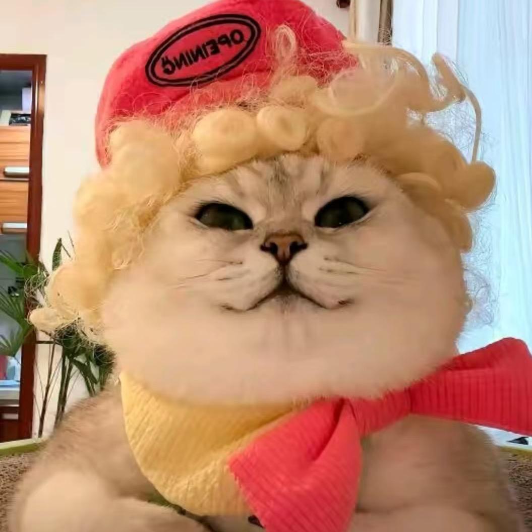 猫猫好物