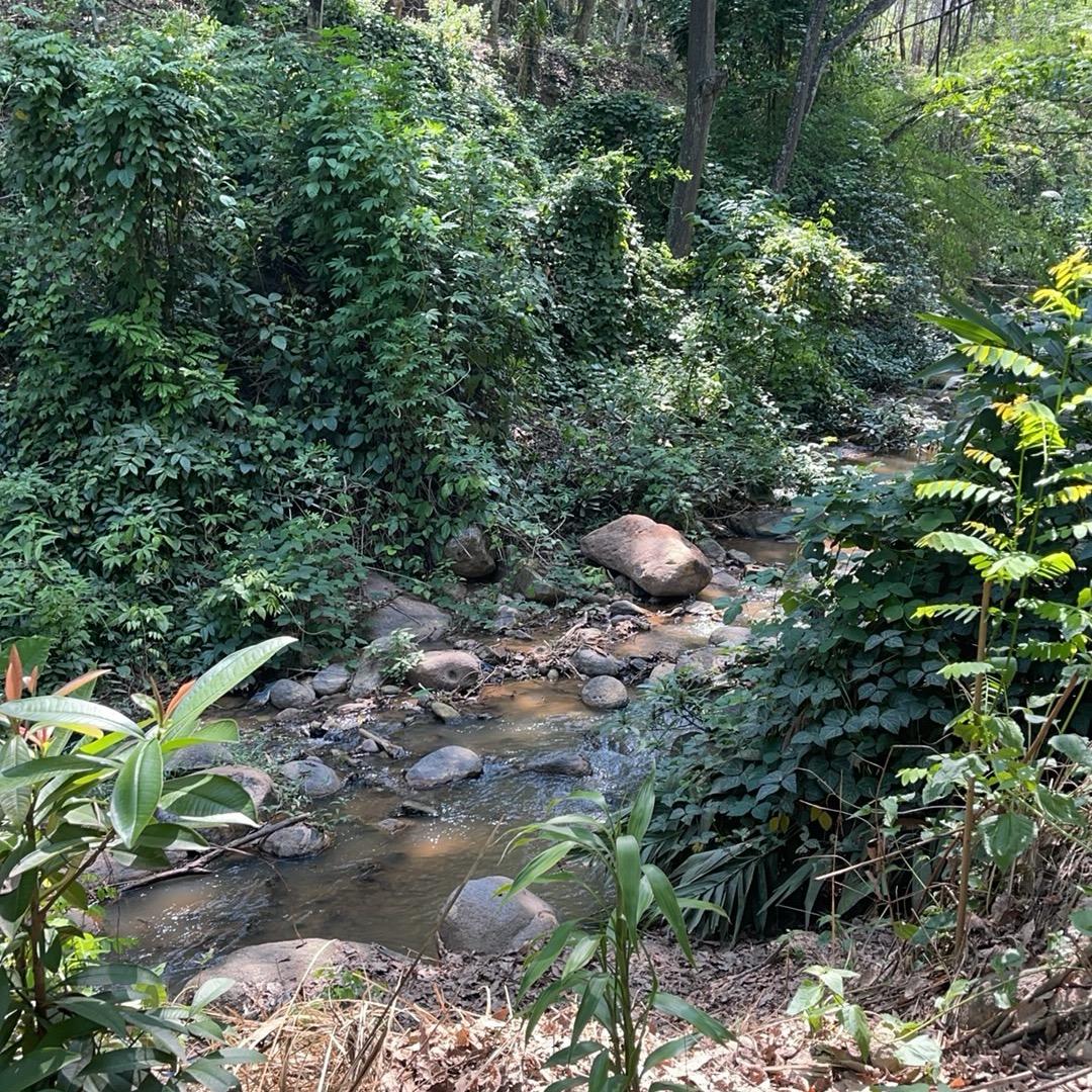 อย่าร้องโห้นะน้ำ