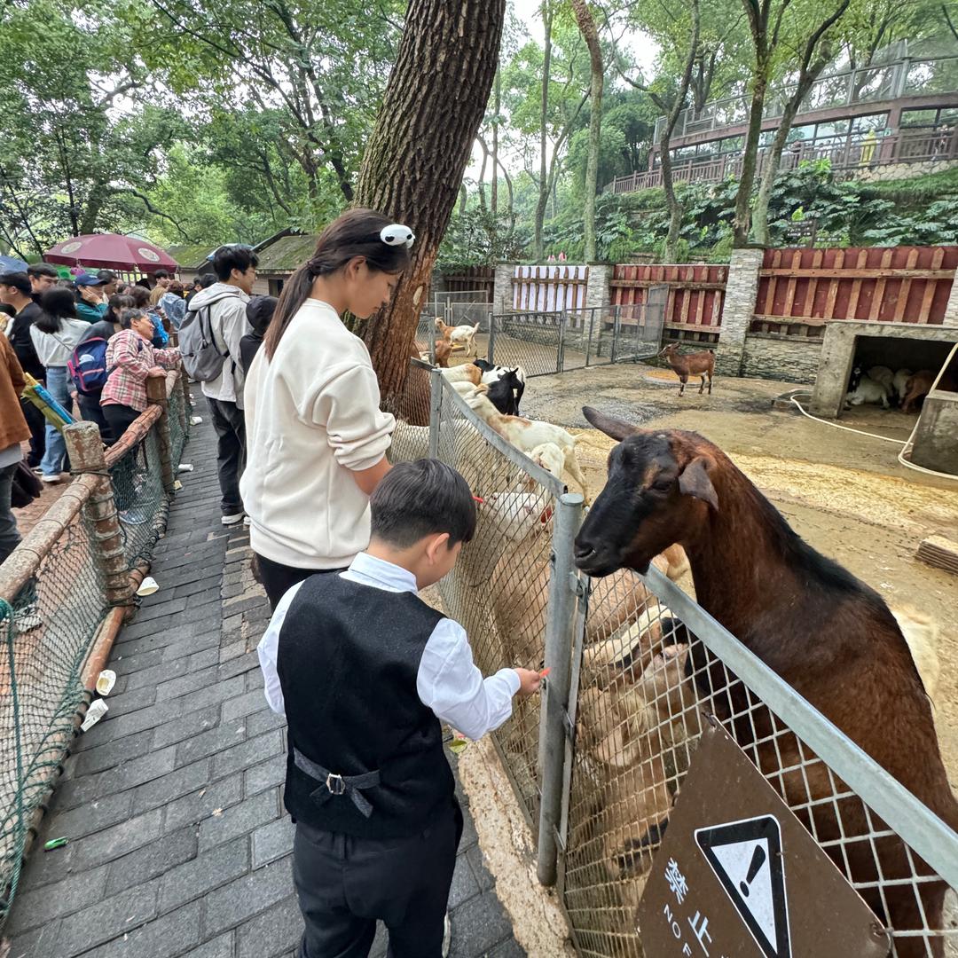 武汉与韩木作-财多多