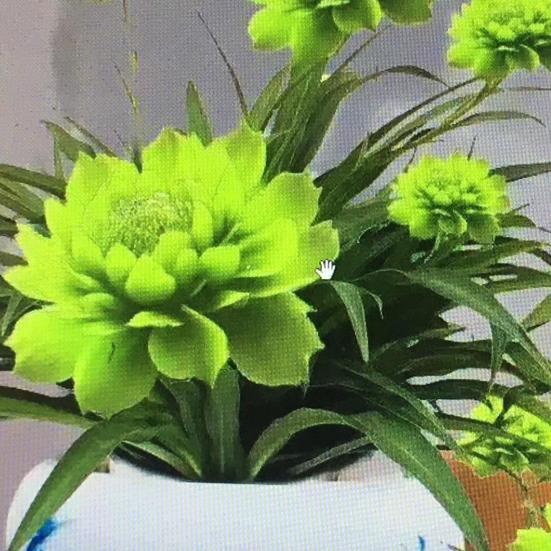 小乾花卉基地