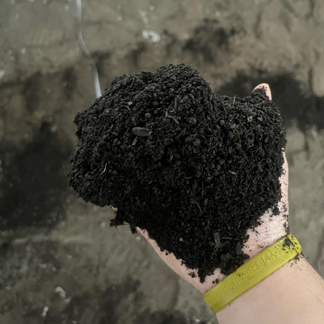 不染农业科技（肖）