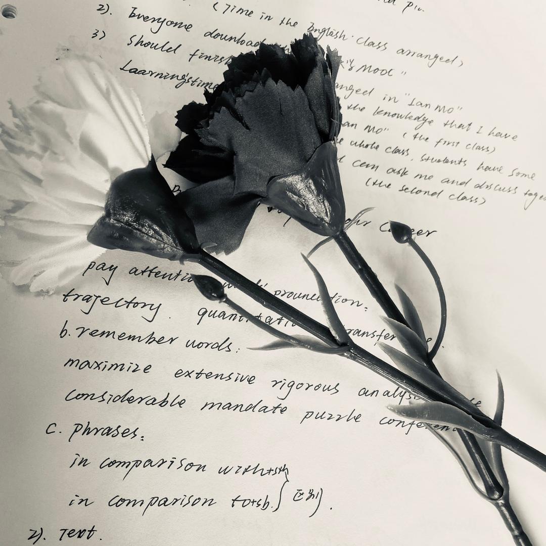 随身笔记✍️