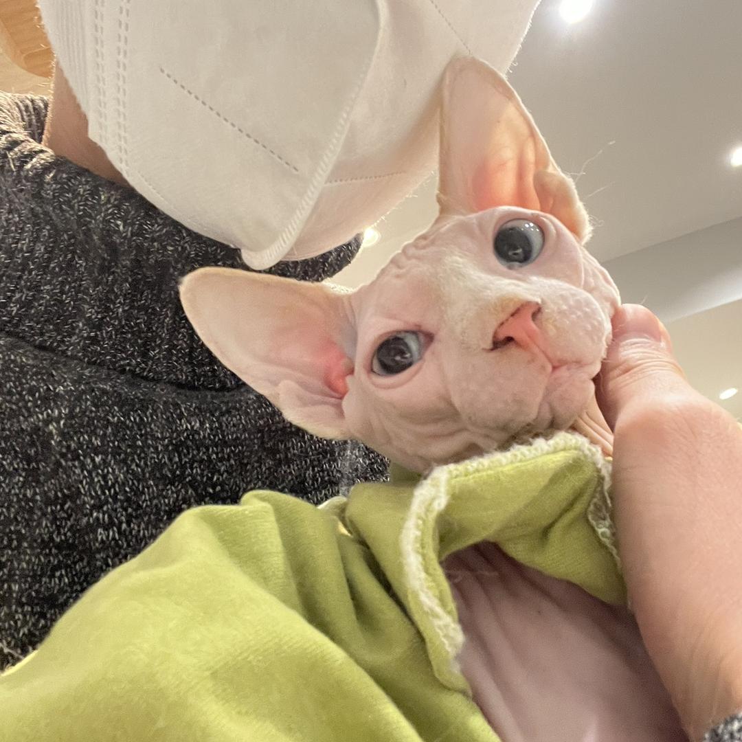 一間院子
