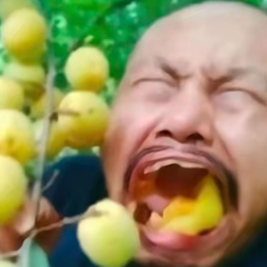 山水一程