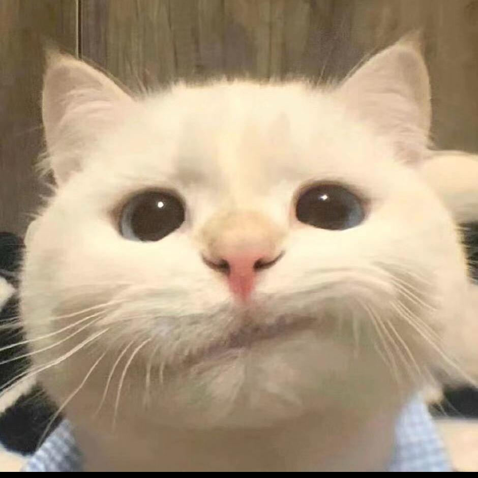 😶‍🌫️😶‍🌫️😶‍🌫️