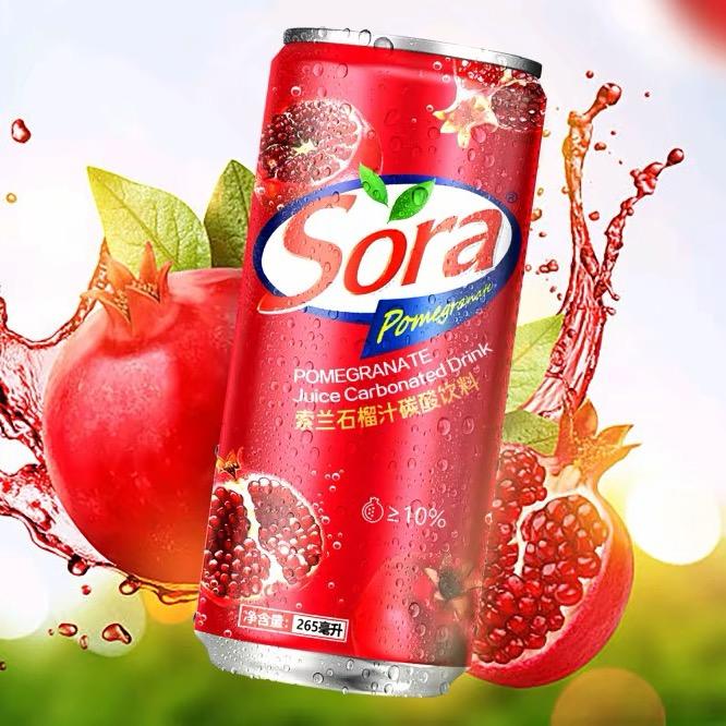 SoRa 幽默